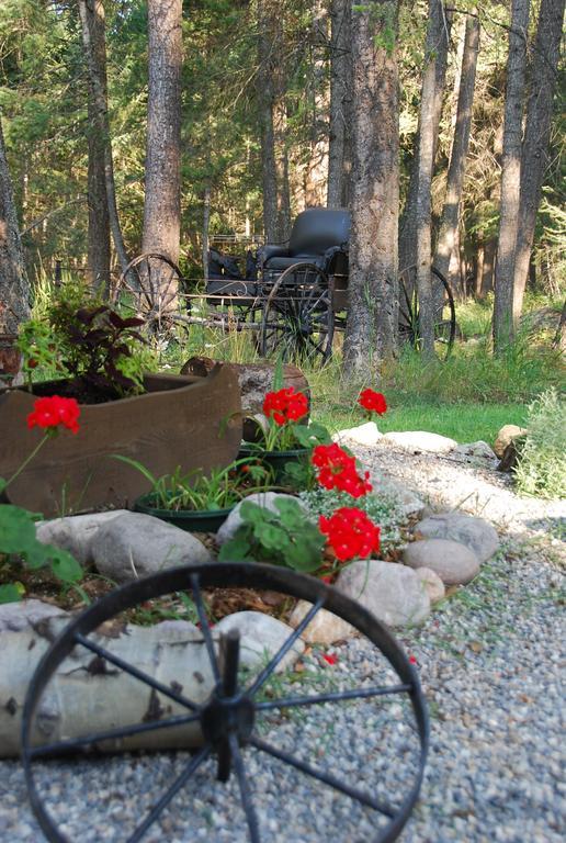 Kicking Horse Canyon Guest House Golden Exterior photo