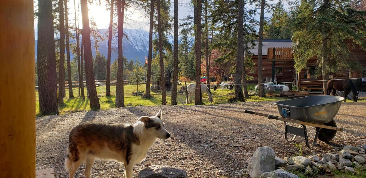 Kicking Horse Canyon Guest House Golden Exterior photo